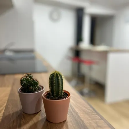 En El Centro De 1 Apartment *