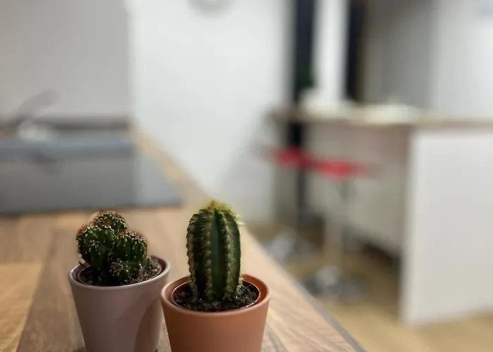 En El Centro De 1 Apartment *